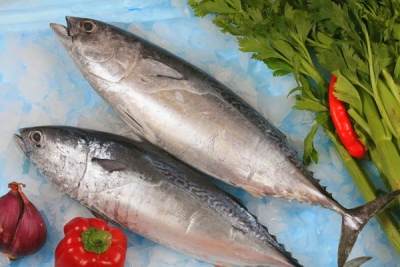 Cách chế biến cá ngừ nướng ngon